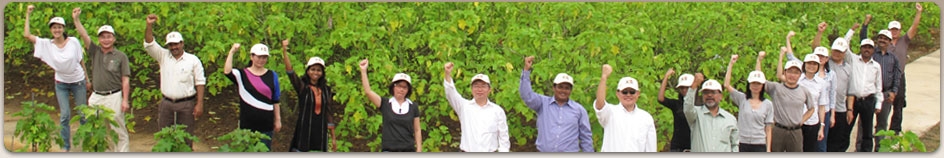 Sustainability